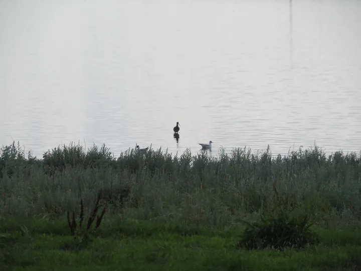 Halshuisene + Enebaerodde Beach (Denemarken)